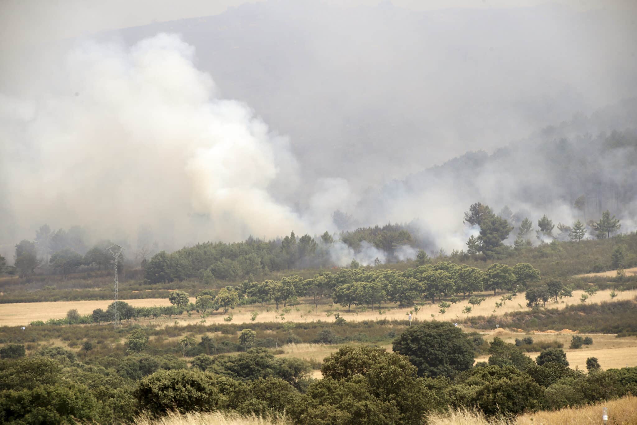 El incendio de Zamora obliga al desalojo de 14 pueblos y arrasa ya 20.000 hectáreas