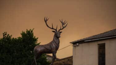 Catástrofe en Zamora: el fuego ya ha arrasado un 30% de la Sierra de la Culebra