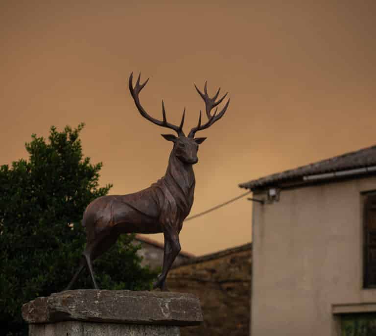 Catástrofe en Zamora: el fuego ya ha arrasado un 30% de la Sierra de la Culebra