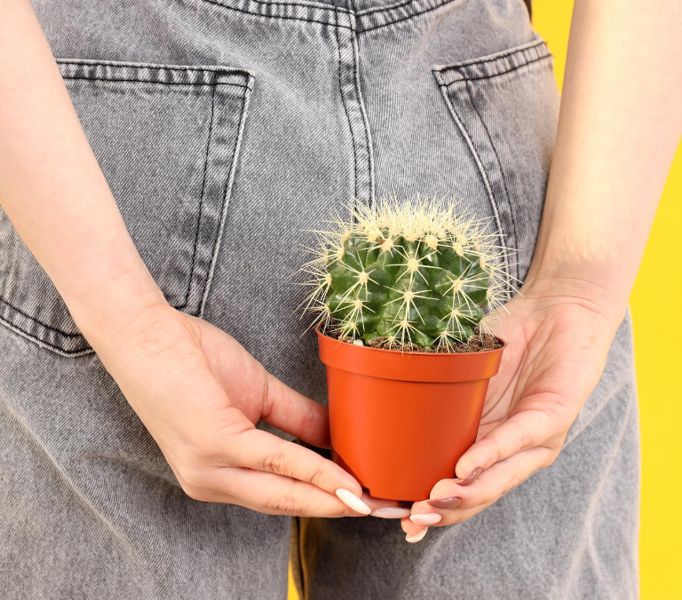 ¿Adiós sin dolor a las hemorroides? Un nuevo tratamiento lo hace posible
