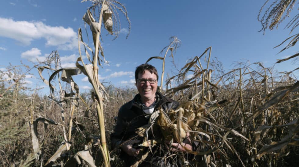 El escritor Charles Mann en una plantación de maíz