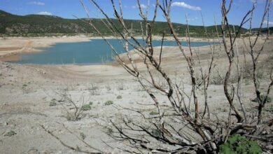 Cortes de agua: Ribera descarta restricciones a pesar de la ola de calor "extraordinariamente preocupante"