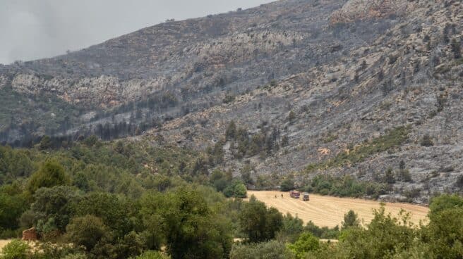 Zona calcinada tras el incendio en Artesa de Segre. Zona calcinada tras el incendio en Artesa de Segre.
