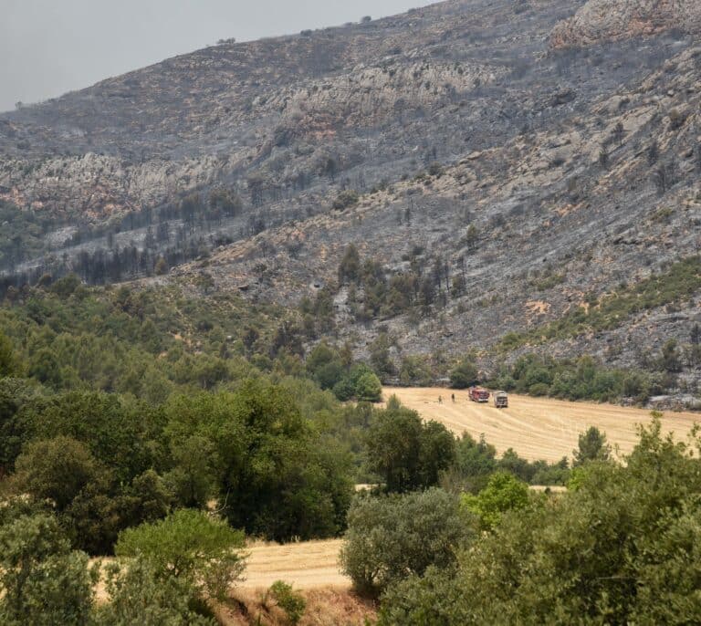 Polémica por las críticas de bomberos independentistas al trabajo de la UME en el incendio de Lleida