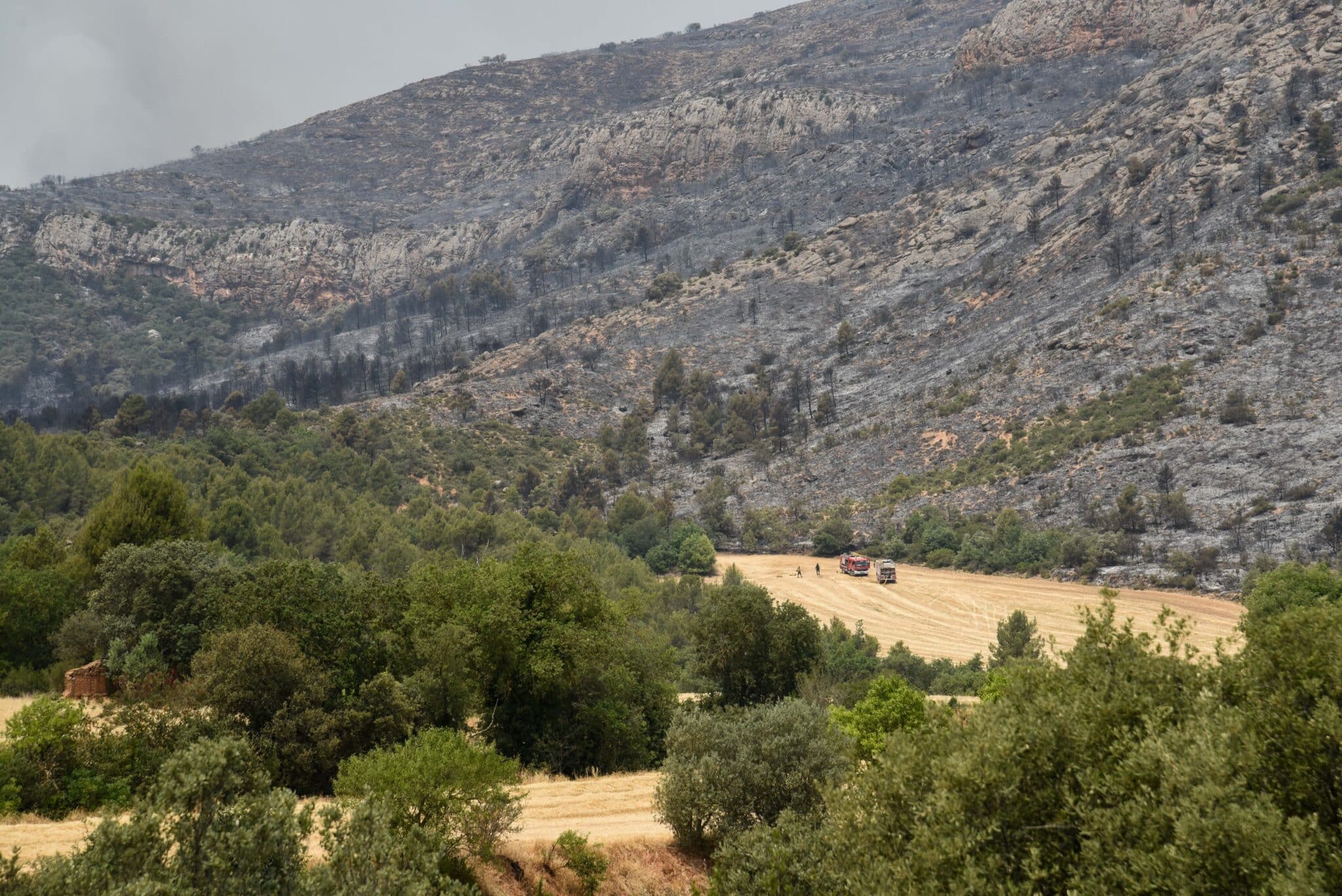 Zona calcinada tras el incendio en Artesa de Segre.