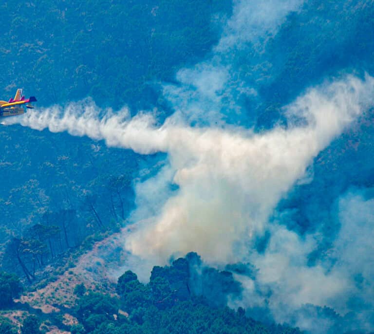 Lucha por tierra y aire contra el incendio en Málaga, que ya ha arrasado más de 2.000 hectáreas