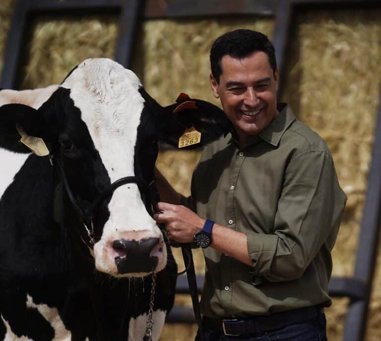 Moreno Bonilla: viaje del héroe con vaca