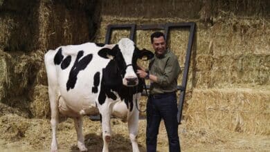 Juanma Moreno se hace una foto con la vaca Fadie y Juan Espadas recrea qué le ha contado