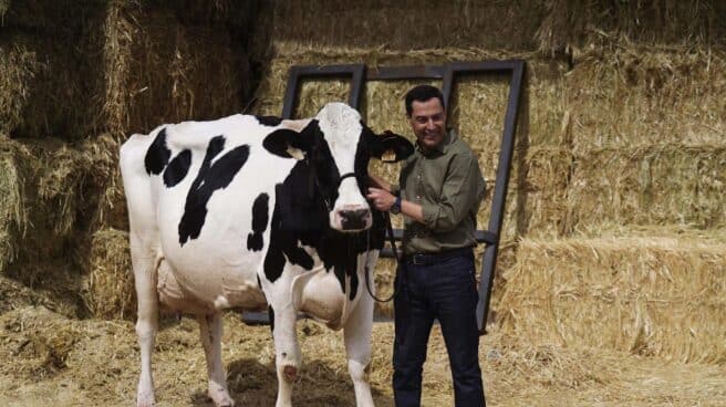 Juanma Moreno posa junto a la vaca Fadie durante un acto de la campaña electoral del PP.