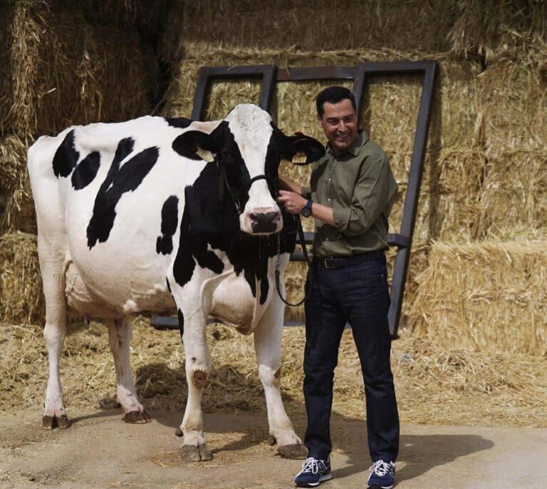 Juanma Moreno se hace una foto con la vaca Fadie y Juan Espadas recrea qué le ha contado