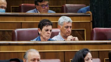 Bildu facilita al Gobierno sacar adelante la Ley de Memoria Democrática