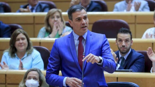 Pedro Sánchez, este martes en el Senado durante su cara a cara con Feijóo. Pedro Sánchez, este martes en el Senado durante su cara a cara con Feijóo.