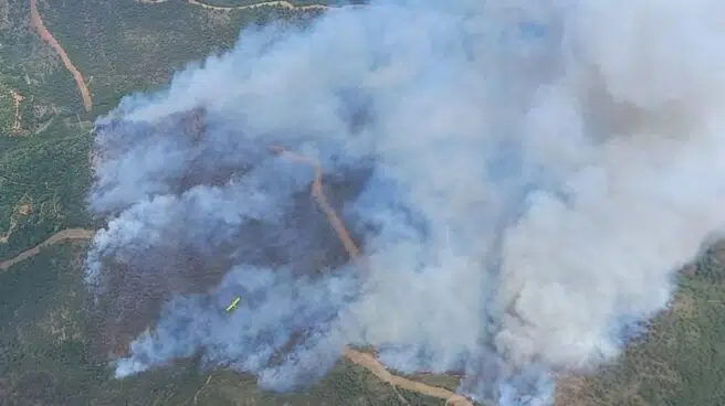 La Junta eleva al nivel 2 de emergencias el incendio forestal en Pujerra (Málaga) y activa a la UME