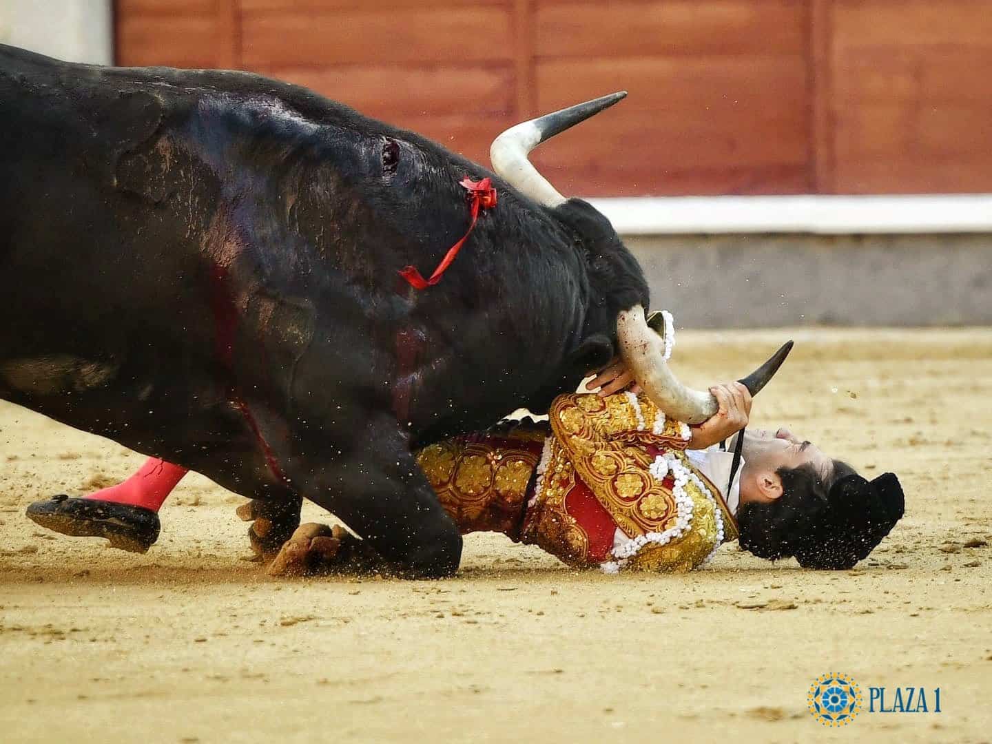 Cogida de Tomás Rufo en Las Ventas.