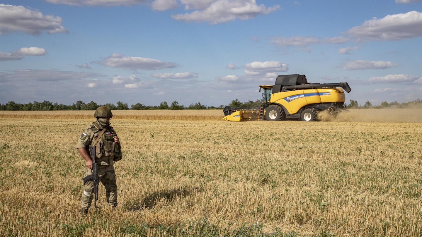 Semillas de esperanza en la batalla por el grano de Ucrania: "Rusia está chantajeando al mundo"