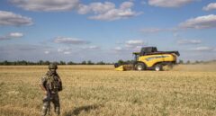 Semillas de esperanza en la batalla por el grano de Ucrania: "Rusia está chantajeando al mundo"