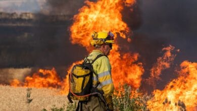 Mañueco revela que "la mano del hombre" está detrás de los últimos incendios en Castilla y León