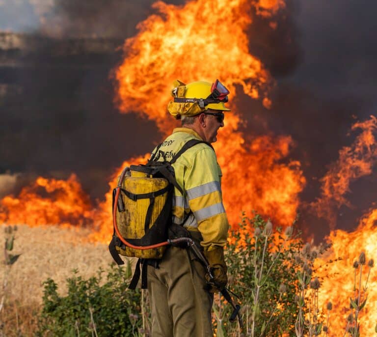Mañueco revela que "la mano del hombre" está detrás de los últimos incendios en Castilla y León