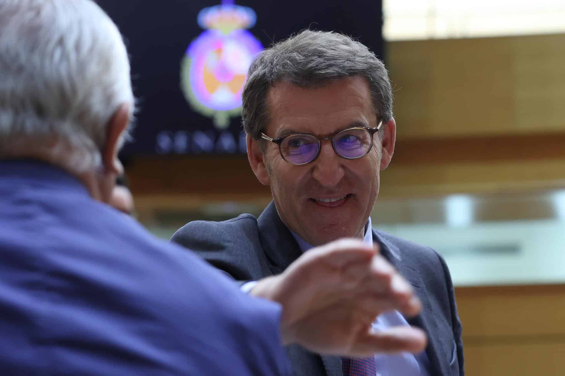 El presidente del PP, Alberto Núñez Feijóo, durante una sesión plenaria del Senado.