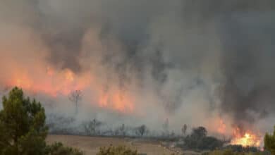El incendio de Monsagro (Salamanca) afloja y los bomberos reciben la visita de Maslaska