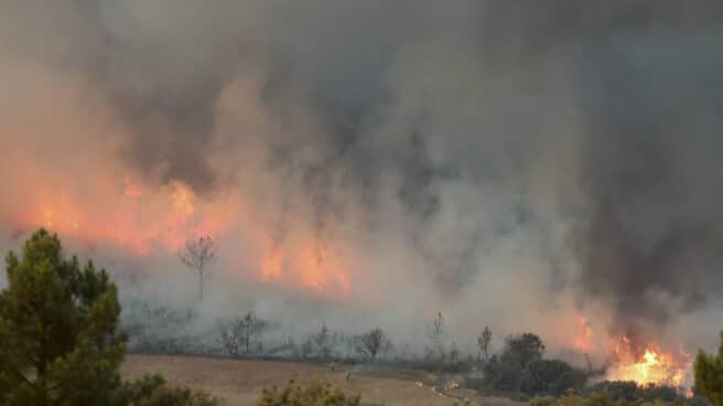 Llamas del incendio de Monsagro (Salamanca) que los vientos cambiantes y el fuerte calor mantienen activo Llamas del incendio de Monsagro (Salamanca) que los vientos cambiantes y el fuerte calor mantienen activo