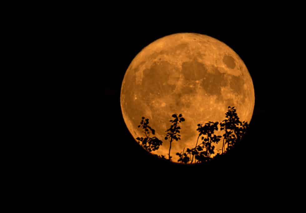Superluna vista este jueves desde Logroño. La luna llena de julio llamada también "Superluna de ciervo", época en la que los ciervos machos desarrollan sus grandes cornamentas para la berrea y el apareamiento.