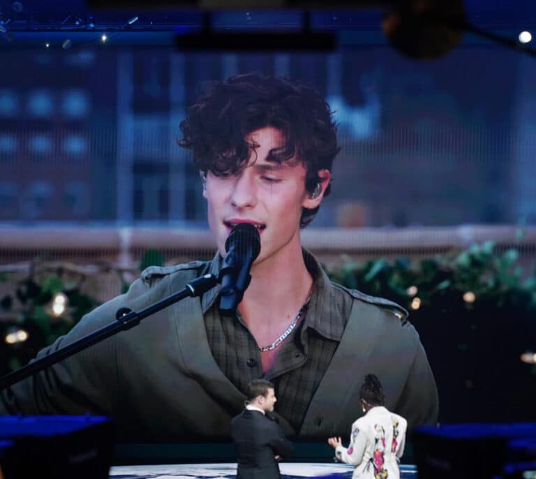 Shawn Mendes cancela su gira mundial por "salud mental"