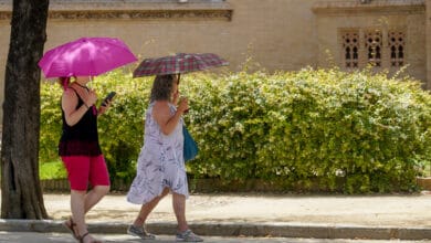 AEMET alerta de una ola de calor en España para los próximos días