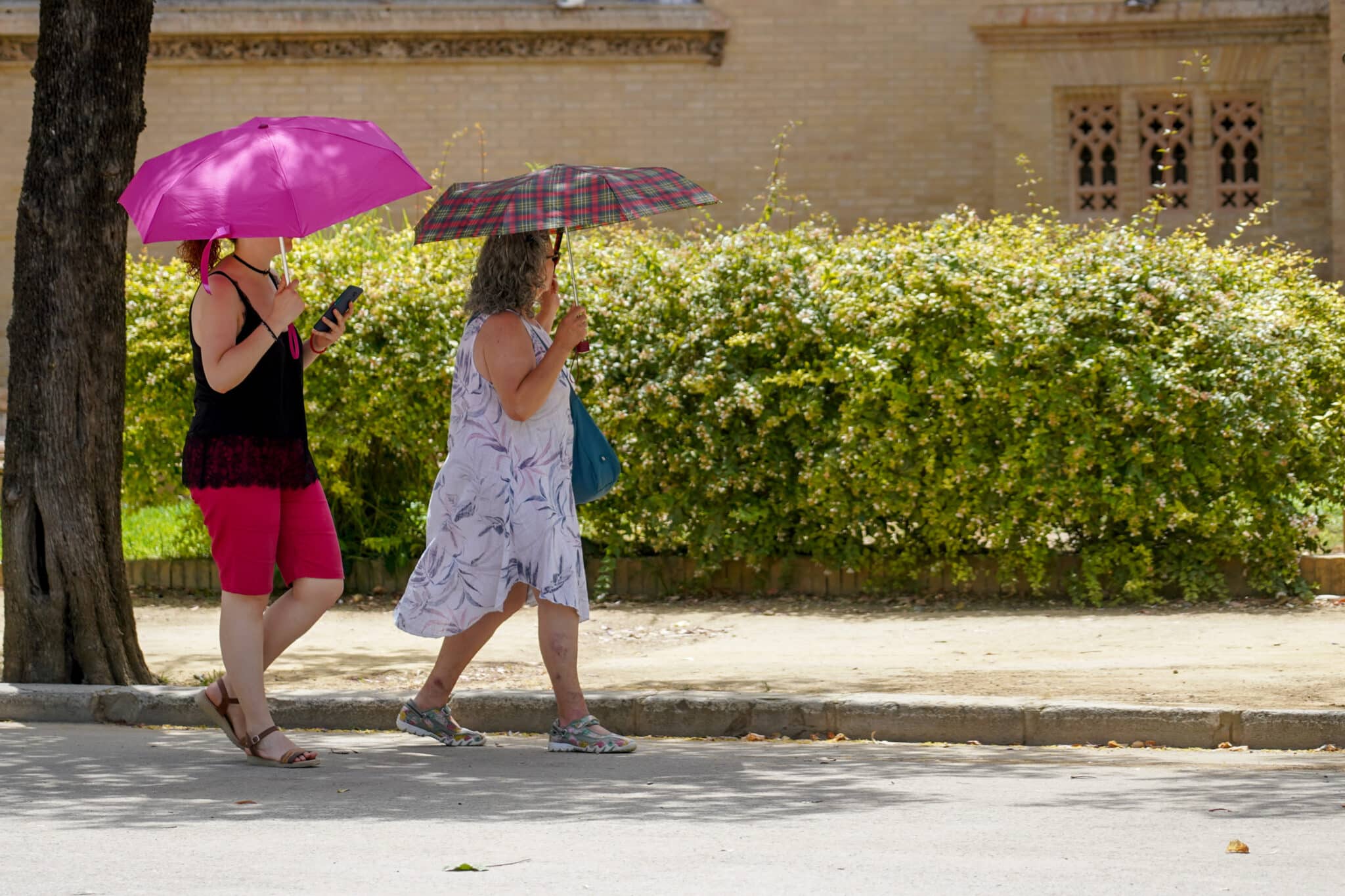 Dos mujeres con un paraguas pasean por el Parque de Maria Luisa en Sevilla