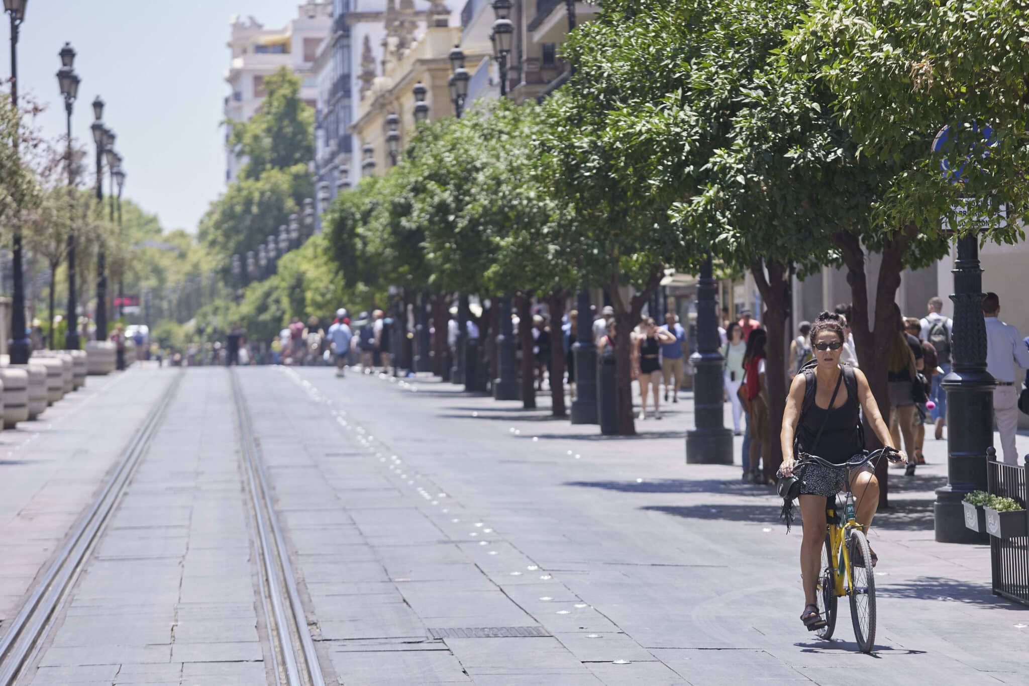 Avenida de la Constitución en Sevilla.