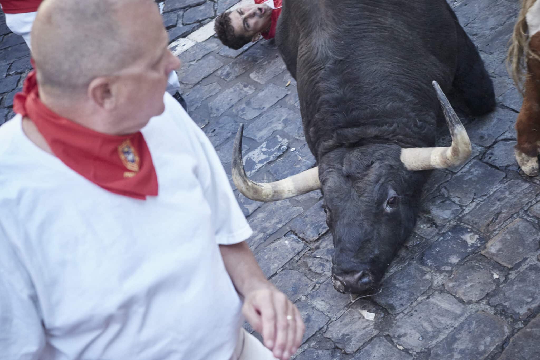 Un toro yace en el suelo durante el segundo encierro de las Fiestas de San Fermín 2022 de la ganadería de Fuente Ymbro, a 8 de julio de 2022, en Pamplona, Navarra (España).
