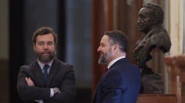 Vox tendrá la última palabra con la 'moción Tamames' y aún no descarta que la lidere Abascal