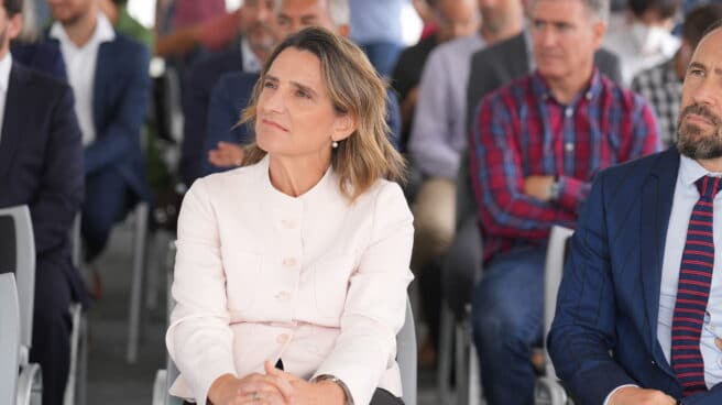 La vicepresidenta tercera Teresa Ribera. La vicepresidenta tercera Teresa Ribera.