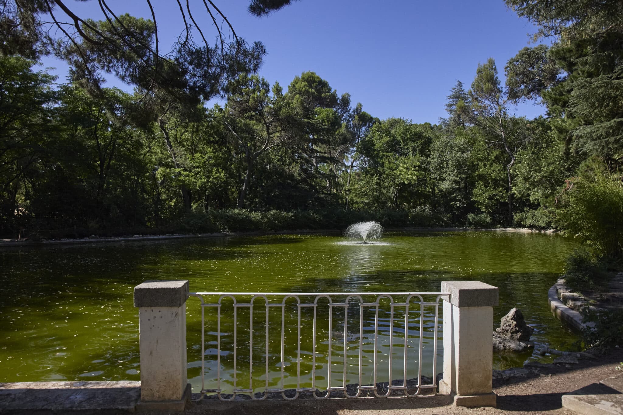 Estanque en el parque Quinta de los Molinos de Madrid.