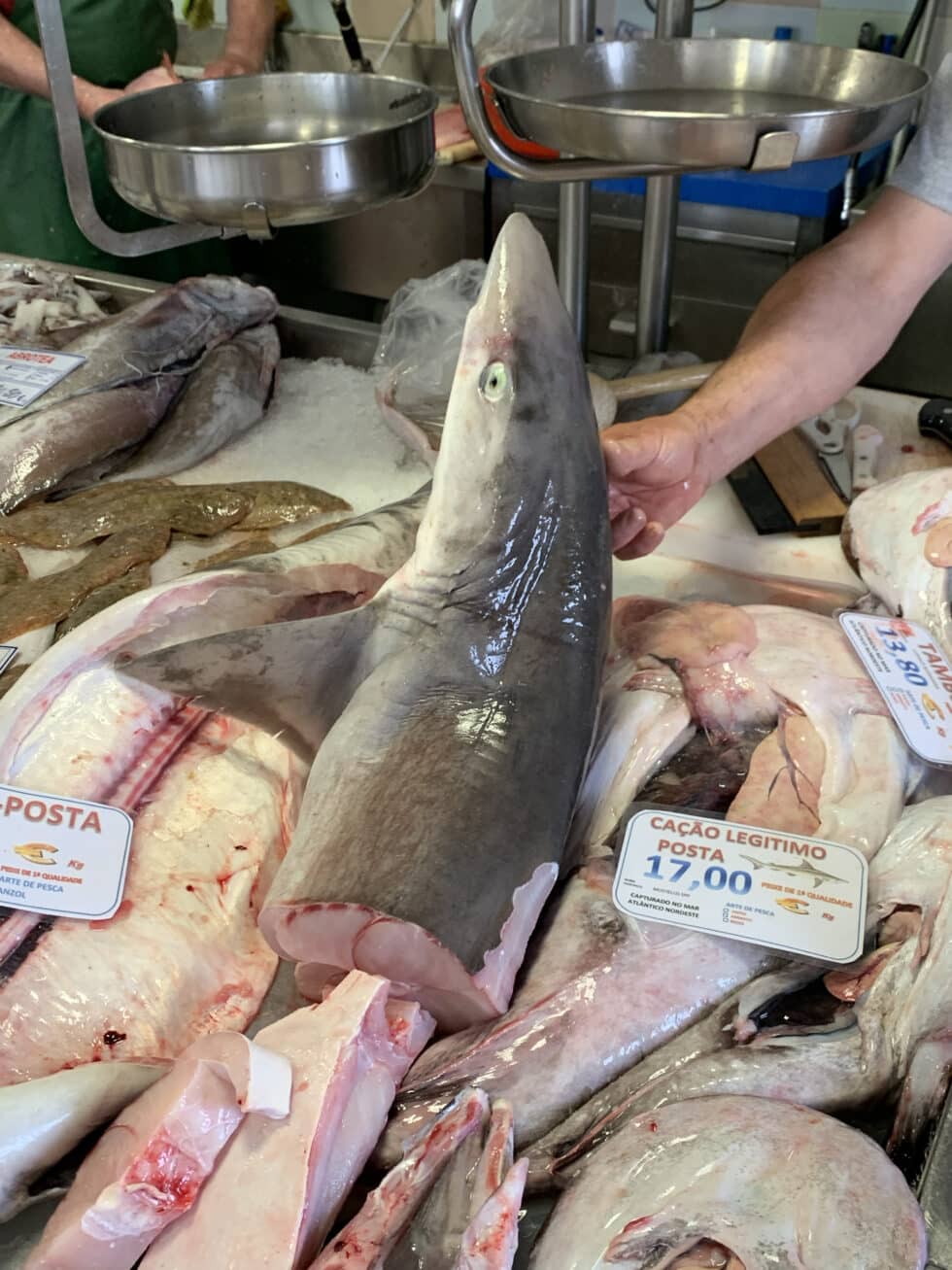 Tiburón en un mercado de Portugal.