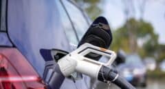 Póliza Respira: el primer seguro a todo riesgo para coches eléctricos e híbridos enchufables a un precio increíble