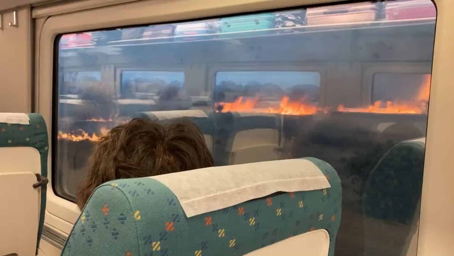 El incendio de Losacio obliga a cortar el AVE Madrid-Galicia y afecta a cuatro trenes