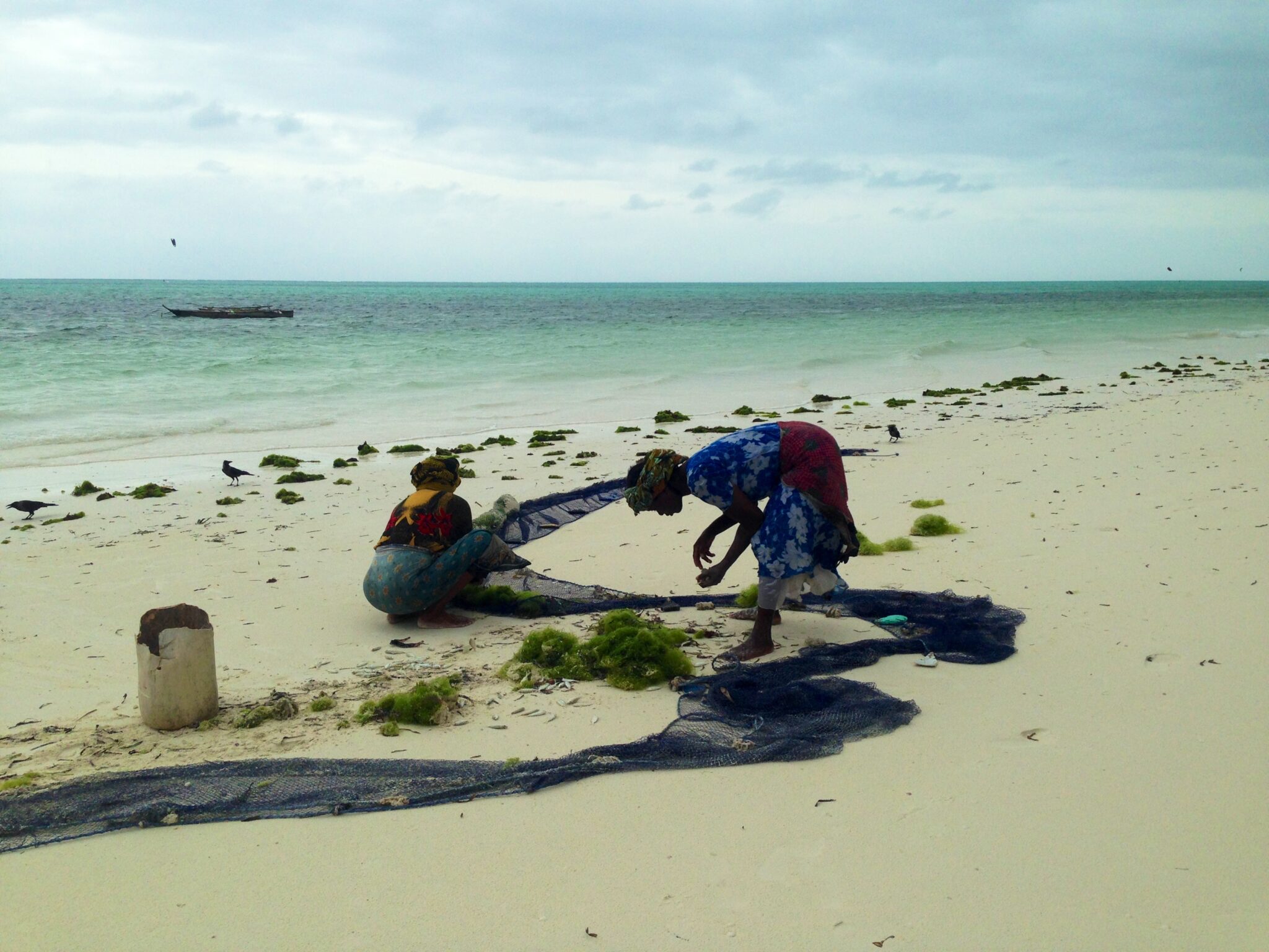 Mujeres recogen algas en la costa de Zanzíbar