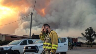 La segunda ola de calor cierra con más de 500 muertos y 30.000 hectáreas arrasadas por el fuego