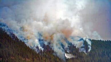 El incendio en Tenerife mejora aunque con temor de que pueda llegar a La Orotava