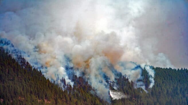 El tiempo cambiante complica el control del fuego que afecta ya a 2.000 hectáreas