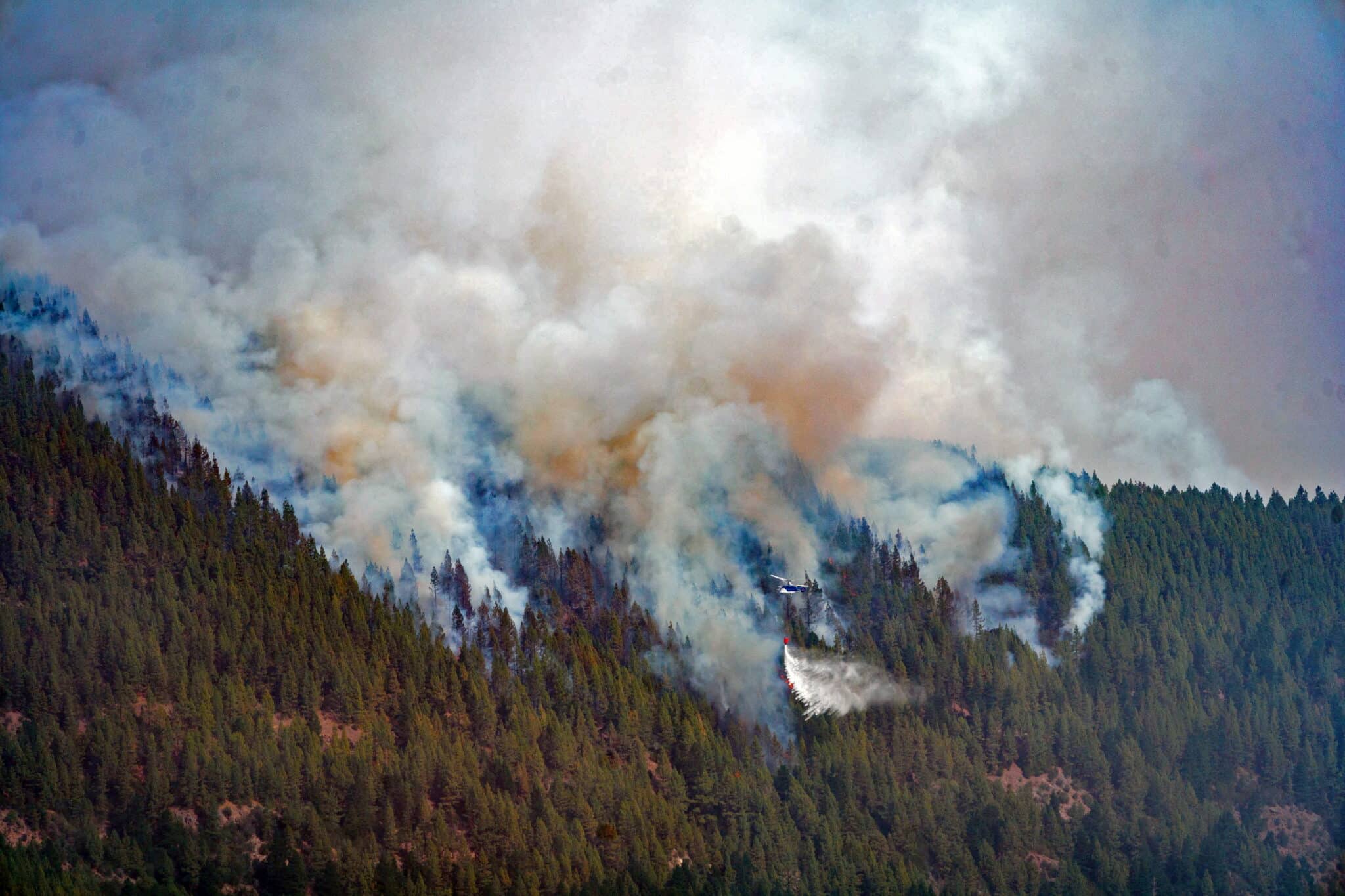 El incendio en Tenerife mejora aunque con temor de que pueda llegar a La Orotava