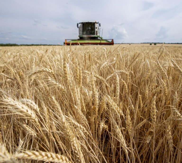 La hambruna que viene