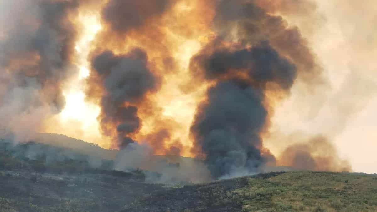 Cáceres en llamas: arden el parque de Monfragüe y Las Hurdes