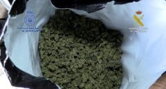 Cinco detenidos y 6 toneladas de marihuana decomisadas en una macroplantación en Barcelona