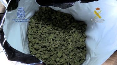 Cinco detenidos y 6 toneladas de marihuana decomisadas en una macroplantación en Barcelona