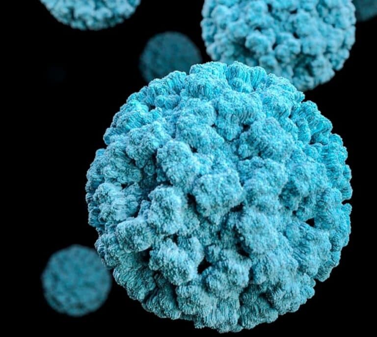 Seis nuevos casos confirmados del brote gastrointestinal de Mojácar (Almería) que suma 115 afectados