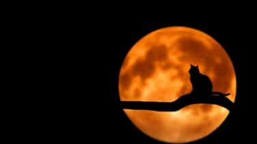 Así es la luna llena de julio 2022, en su máximo esplendor