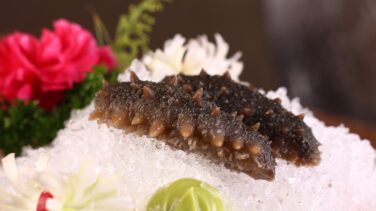 El pepino de mar, la babosa codiciada que sostiene los océanos