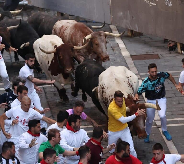 Un herido por asta en el sexto encierro de Sanfermines tras una rápida y emocionante carrera